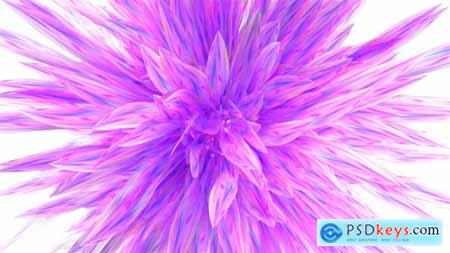 Pink Flower Logo Reveal 38952968