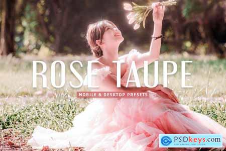 Rose Taupe Mobile & Desktop Lightroom Presets