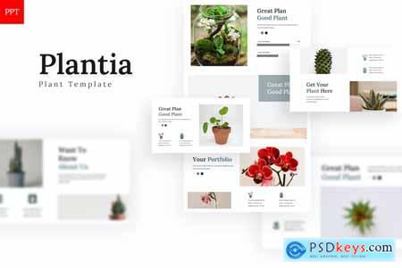 Plantia - Powerpoint Template