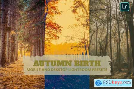 Autumn Birth Lightroom Presets Dekstop and Mobile