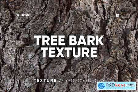 20 Tree Bark Textures