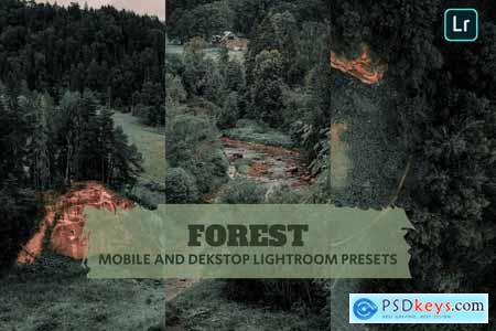Forest Lightroom Presets Dekstop and Mobile