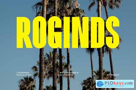 Roginds - Modern Bold Fonts