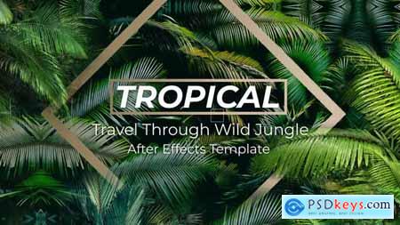 Jungle Tropical Slideshow 40108191