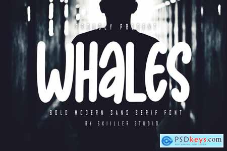 Whales - Bold Modern Sans Serif