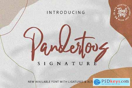 Pandertoos - Handbrush Signature
