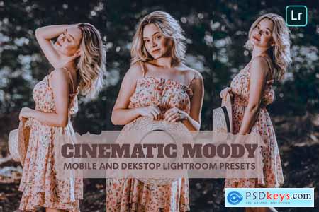 Cinematic Moody Lightroom Presets Dekstop Mobile