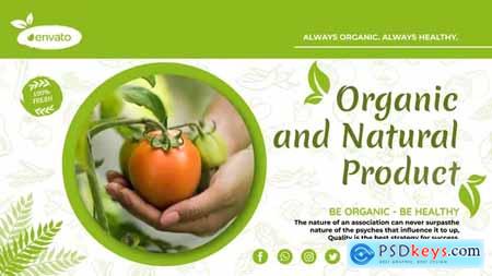 Organic Food Promo 39252959