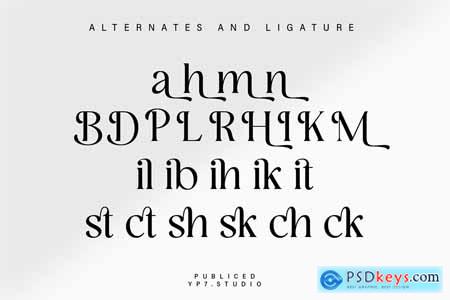 Elegant Serif Font