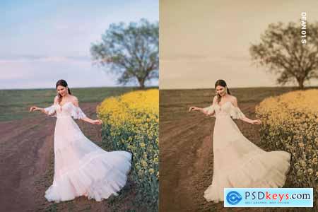 25 Warm and Moody Lightroom Presets and LUTs