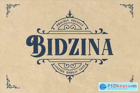 Bidzina - Vintage Display Font
