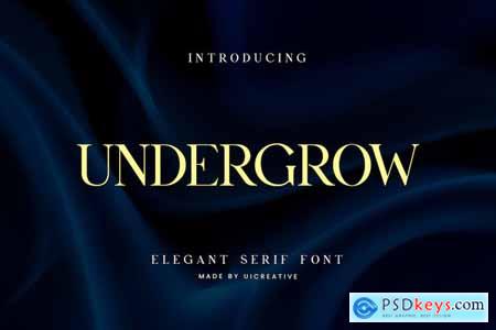 Undergrow Elegant Serif Font