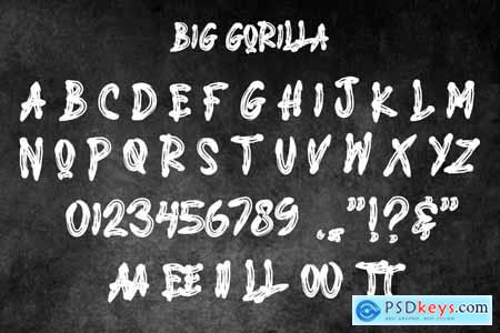 BIG GORILLA - Brush Typeface AM