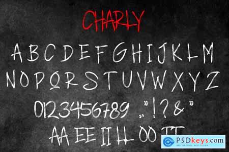 CHARLY - Brush Font AM