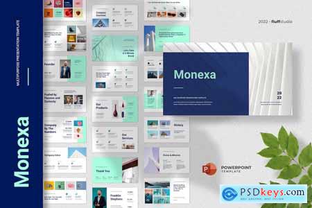 Monexa - Business Powerpoint Template