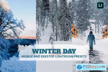Winter Day Lightroom Presets Dekstop and Mobile