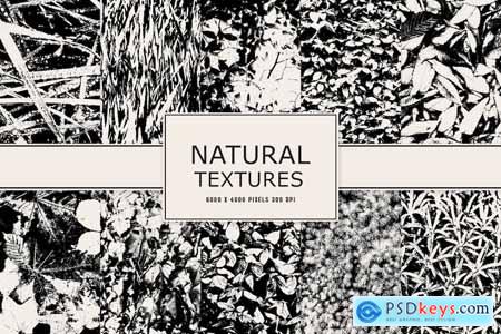Natural Textures