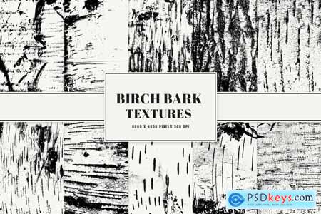 Birch Bark Textures