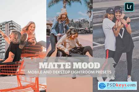 Matte Mood Lightroom Presets Dekstop and Mobile