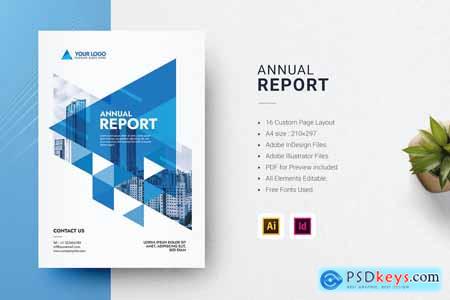 Annual Report InDesign & illustrator