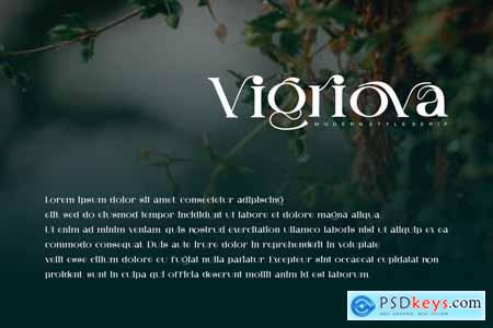 Vigriova - Serif Font
