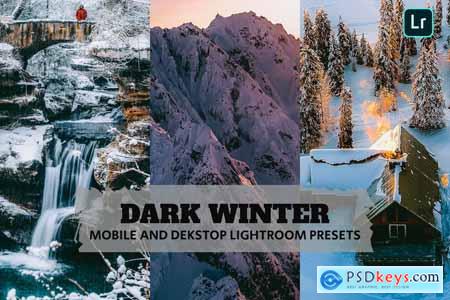 Dark Winter Lightroom Presets Dekstop and Mobile