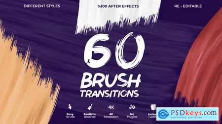 Brush Transitions 40494893