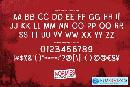 NORMIES - Sans Display Typeface