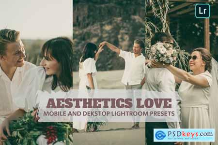 Aesthetics Love Lightroom Presets Dekstop Mobile