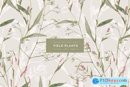 Field Plants