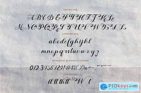 Fharida- Modern Calligraphy Script Font