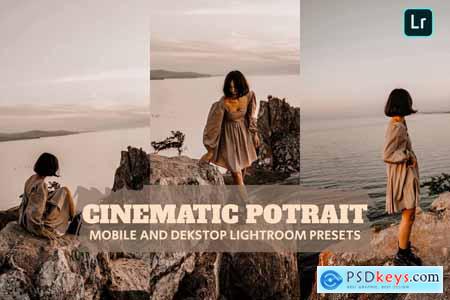 Cinematic Potrait ghtroom Presets Dekstop Mobile