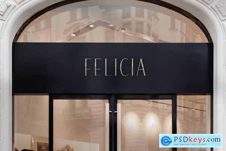 Felicia - Sleek Beauty Typeface