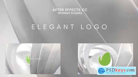 Elegant Shape Logo Reveal 40929943