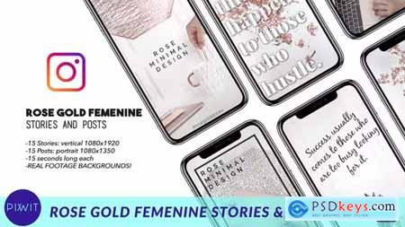 Rose Gold Feminine Stories and Posts 41498144