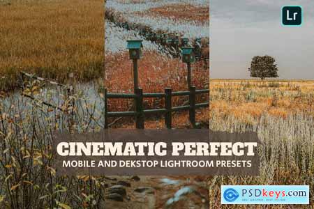Cinematic Perfect Lightroom Presets Dekstop Mobile