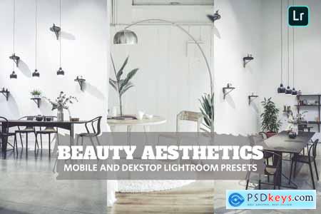 Beauty Aesthetics Lightroom Presets Dekstop Mobile
