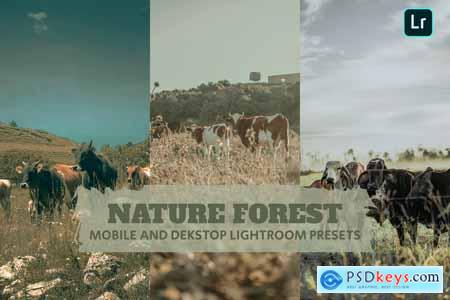 Nature Forest Lightroom Presets Dekstop and Mobile