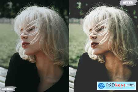 Lamo Vignated Lightroom Presets Dekstop Mobile