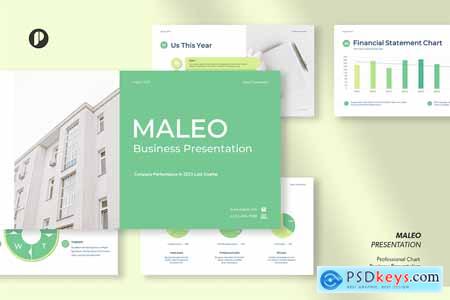 Maleo  professional chart business presentation