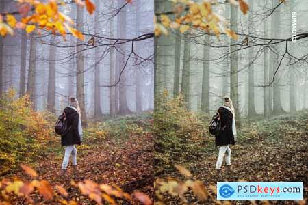 25 November Lightroom Presets and LUTs