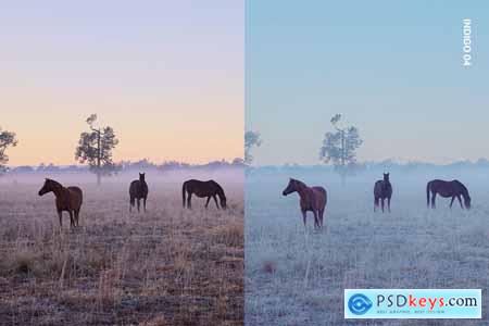 25 Misty Mornings Lightroom Presets and LUTs