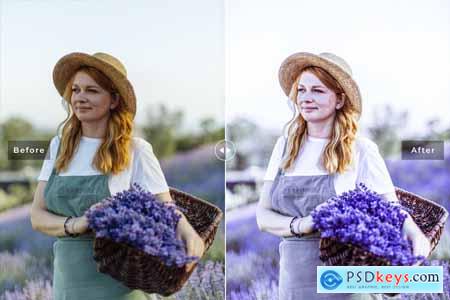 Charoite Mobile & Desktop Lightroom Presets