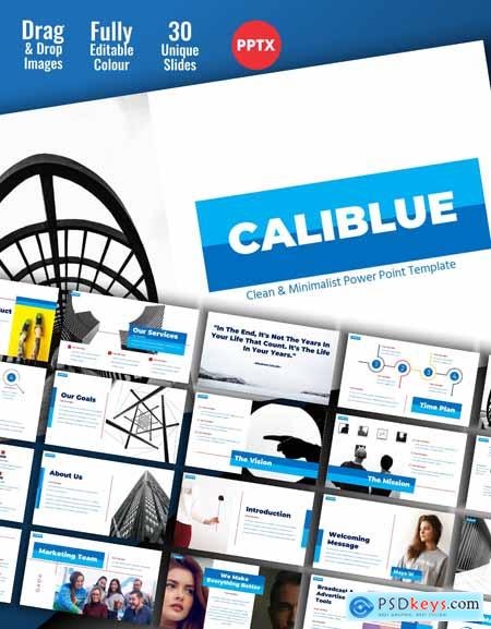 CALIBLUE Digital Business Profile PPT Template 002