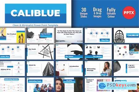 CALIBLUE Digital Business Profile PPT Template 002