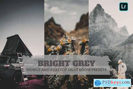 Bright Grey Lightroom Presets Dekstop and Mobile