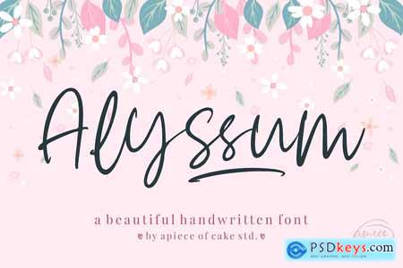 Alyssum - A Script Font