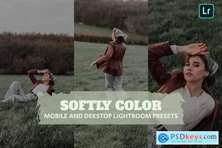 Softly Color Lightroom Presets Dekstop and Mobile
