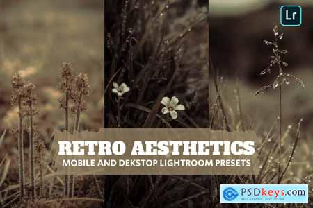 Retro Aesthetics Lightroom Presets Dekstop Mobile