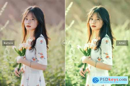 Datolite Mobile & Desktop Lightroom Presets